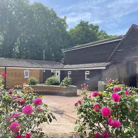 The Rose Cottage Wisborough Green Exteriér fotografie