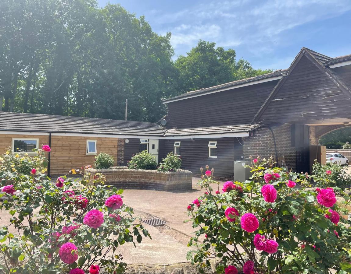 The Rose Cottage Wisborough Green Exteriér fotografie